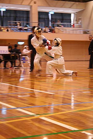 300karate1.jpg